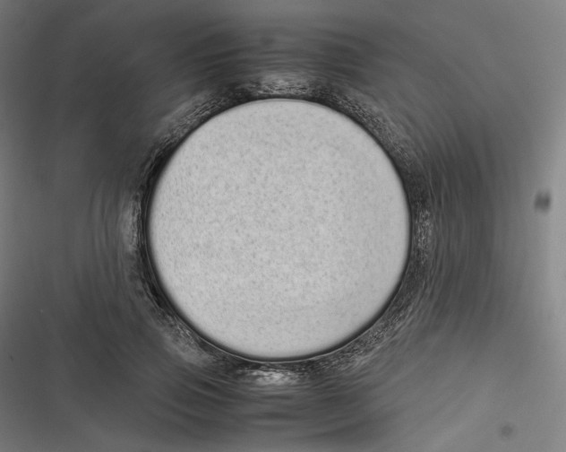 X0000116600741201001081149