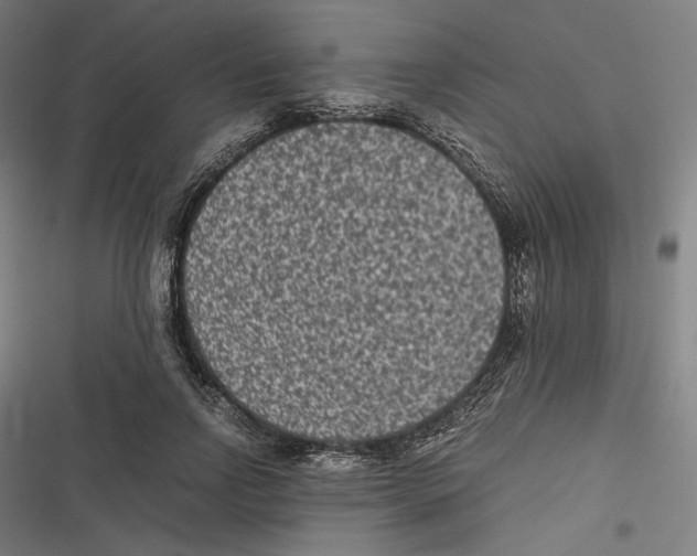 X0000116600742201001081149
