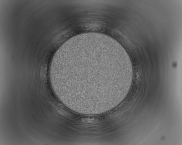 X0000116600745201001081149