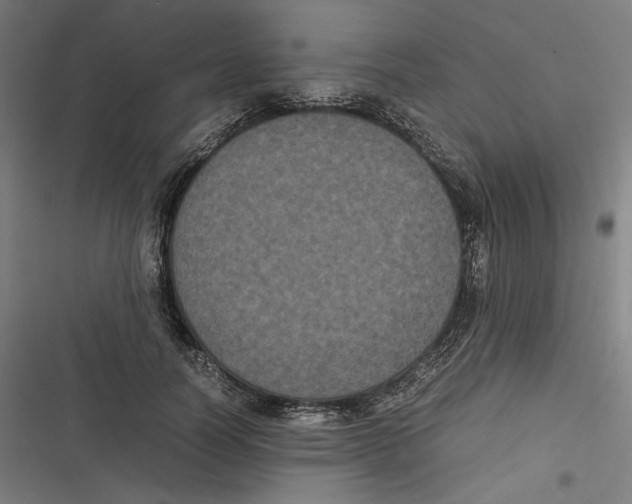 X0000116600746201001081149