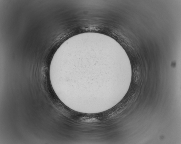 X0000116600747201001081149