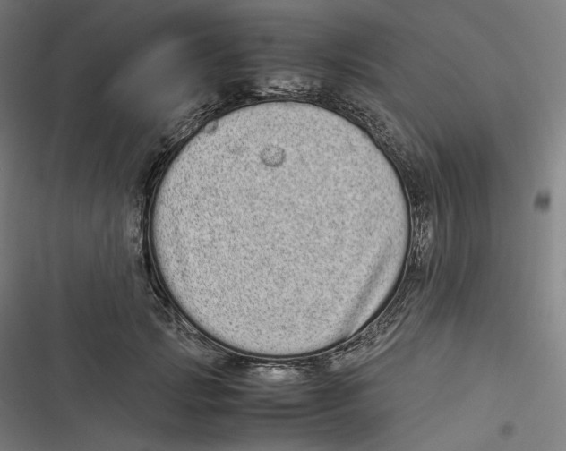 X0000116600749201001081149