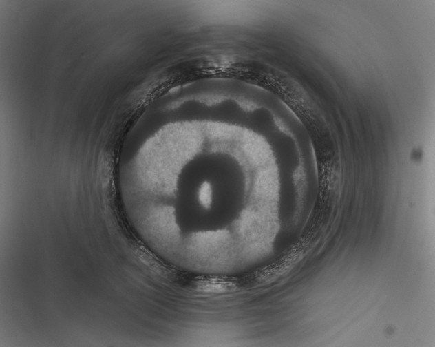 X0000116600754201001081149