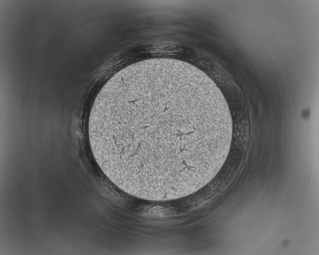 X0000116600755201001081149