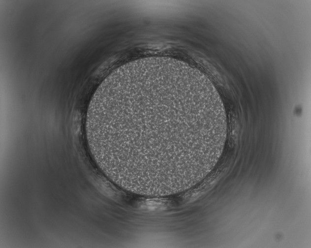 X0000116600758201001081149