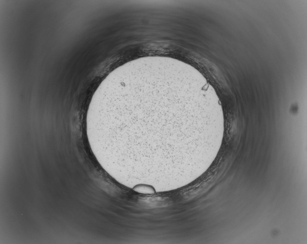 X0000116600759201001081149