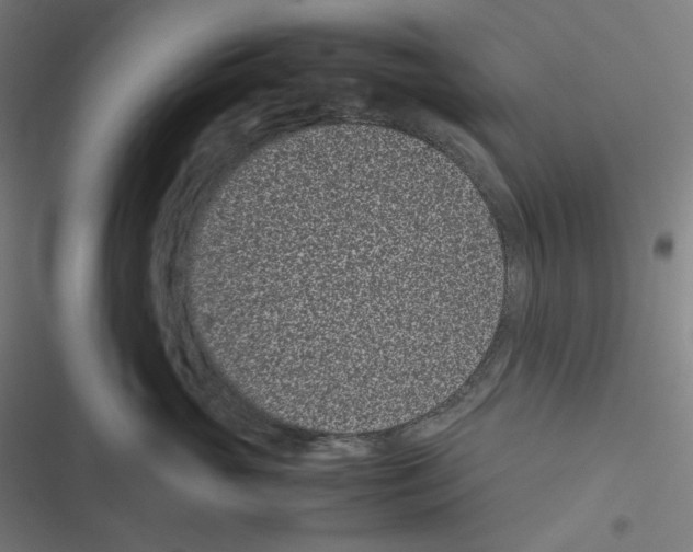 X0000116600765201001081149