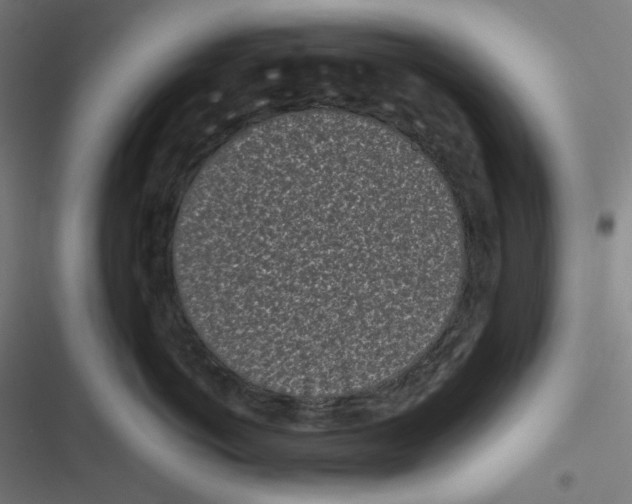 X0000116600766201001081149
