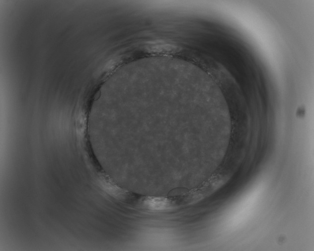 X0000116600767201001081149