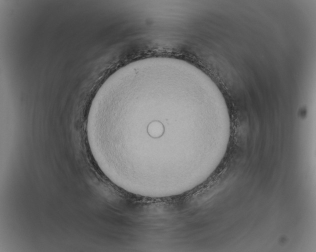 X0000116600769201001081149