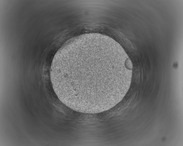 X0000116600770201001081149