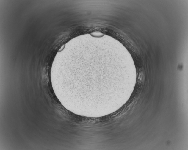 X0000116600771201001081149