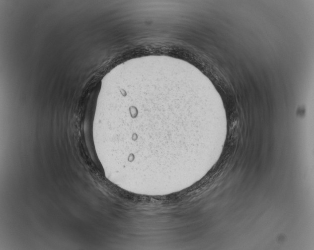 X0000116600772201001081149