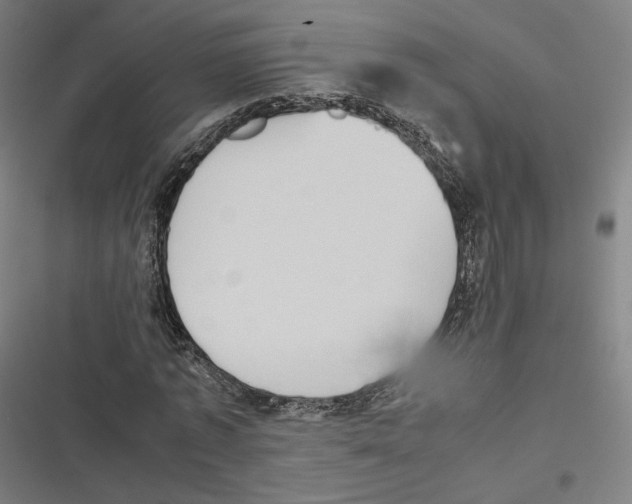 X0000116600773201001081149