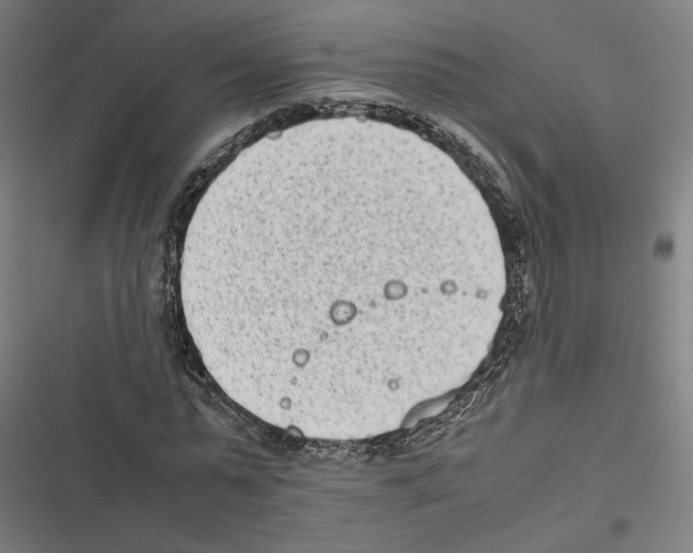 X0000116600775201001081149