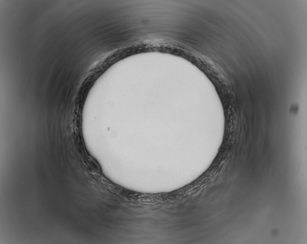 X0000116600776201001081149