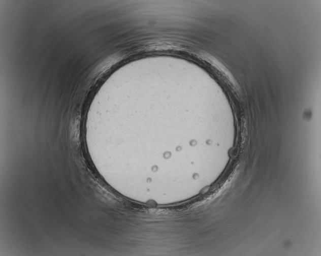 X0000116600777201001081149