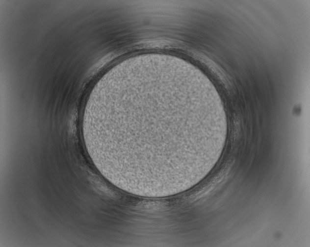 X0000116600778201001081149