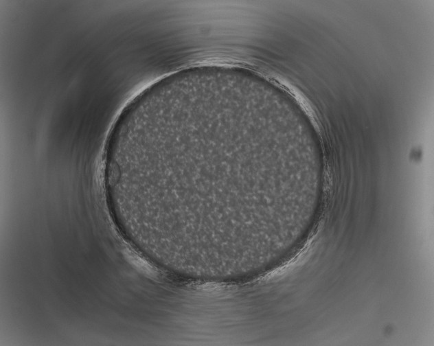 X0000116600779201001081149