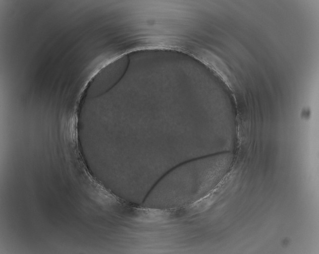 X0000116600781201001081149