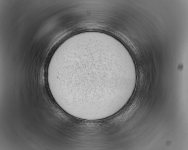 X0000116600782201001081149