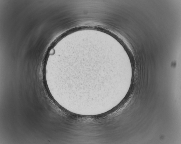 X0000116600783201001081149