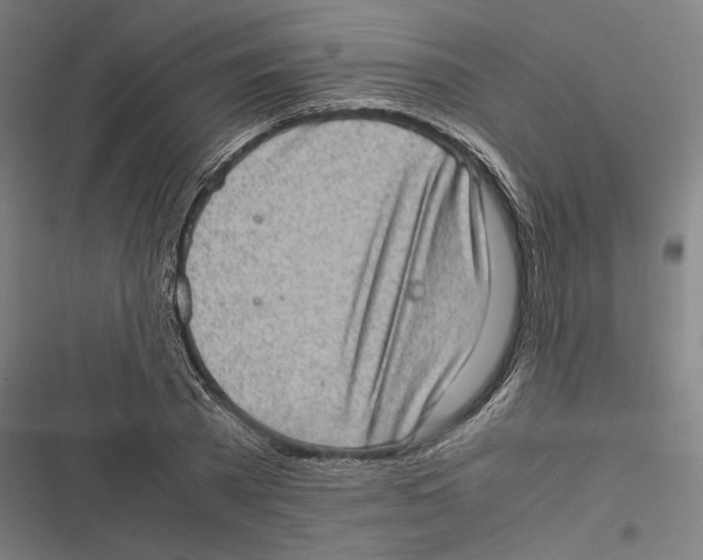 X0000116600785201001081148