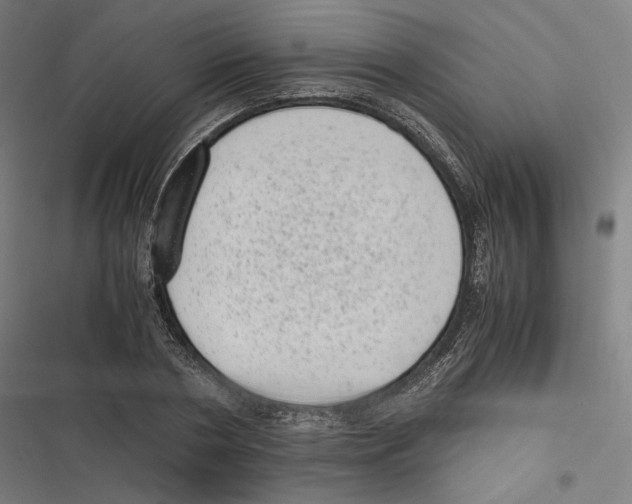 X0000116600786201001081148