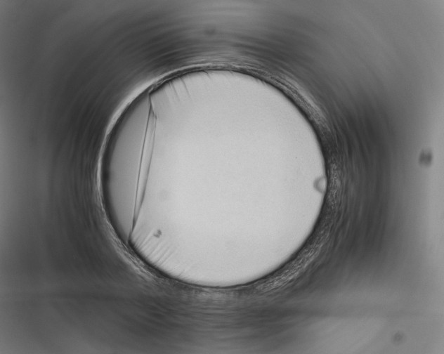 X0000116600788201001081148