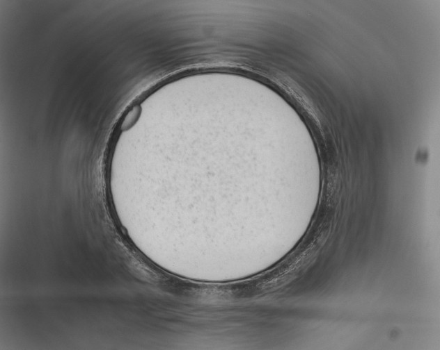X0000116600789201001081148