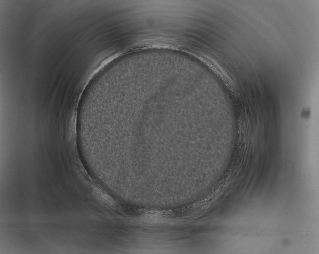 X0000116600790201001081148