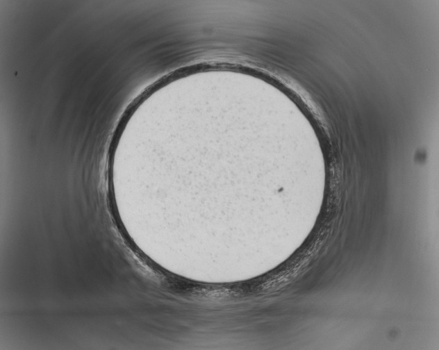 X0000116600791201001081148
