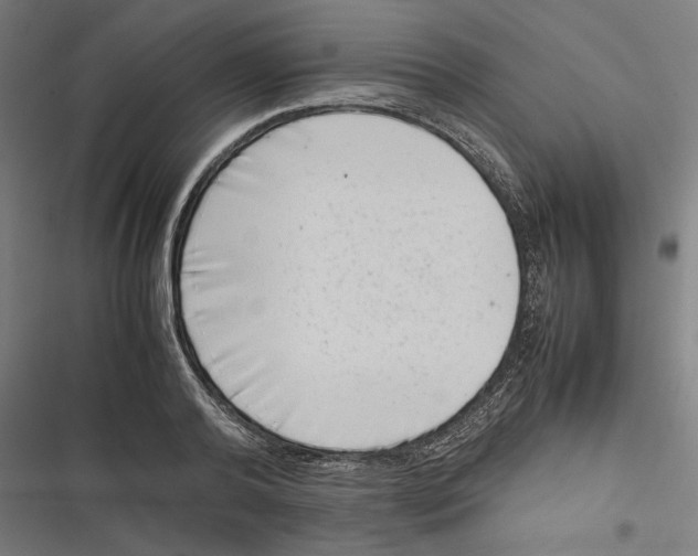 X0000116600792201001081148