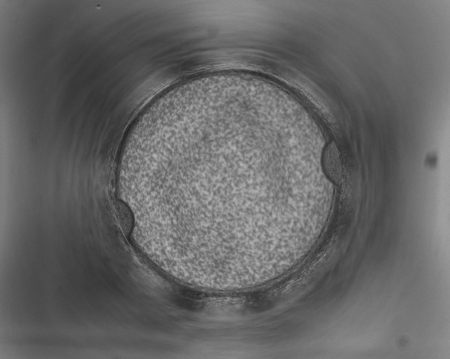 X0000116600793201001081148