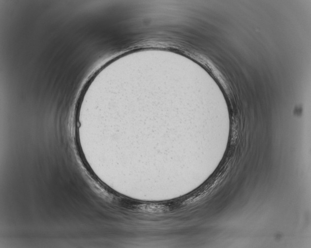 X0000116600795201001081148