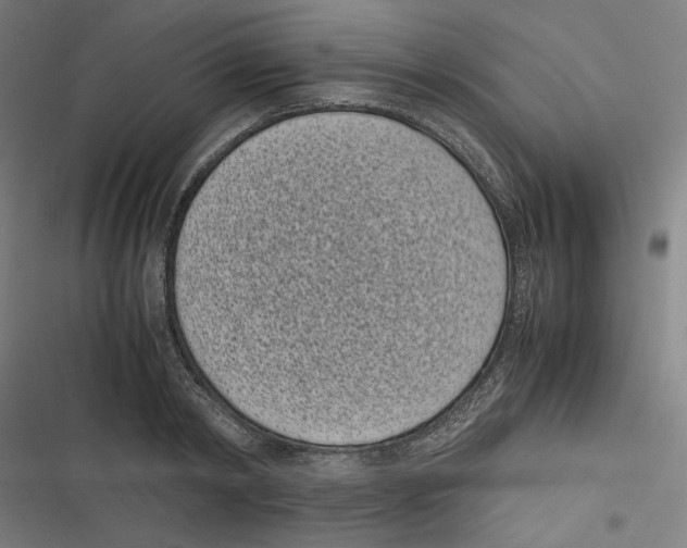 X0000116600798201001081148