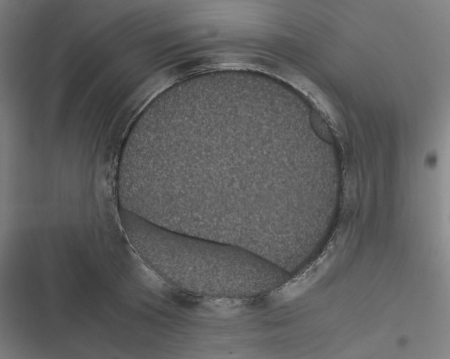 X0000116600801201001081148