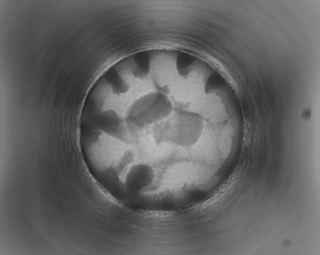 X0000116600802201001081148