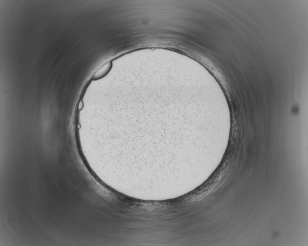 X0000116600803201001081148