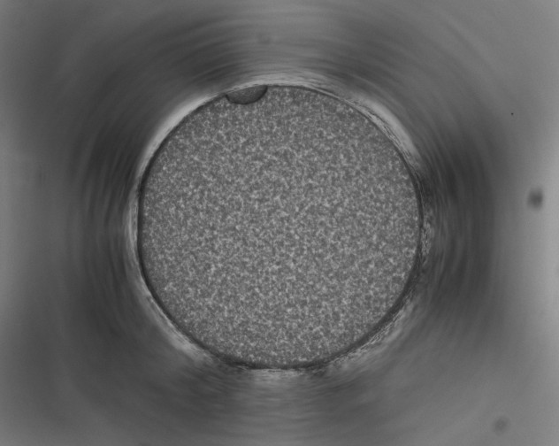 X0000116600804201001081148