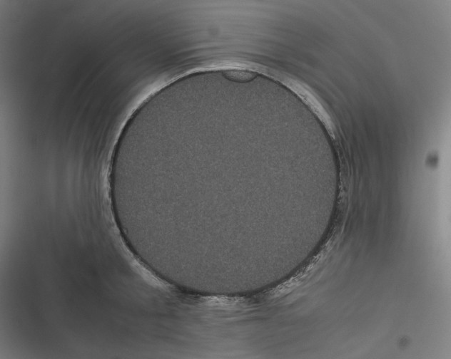 X0000116600805201001081148
