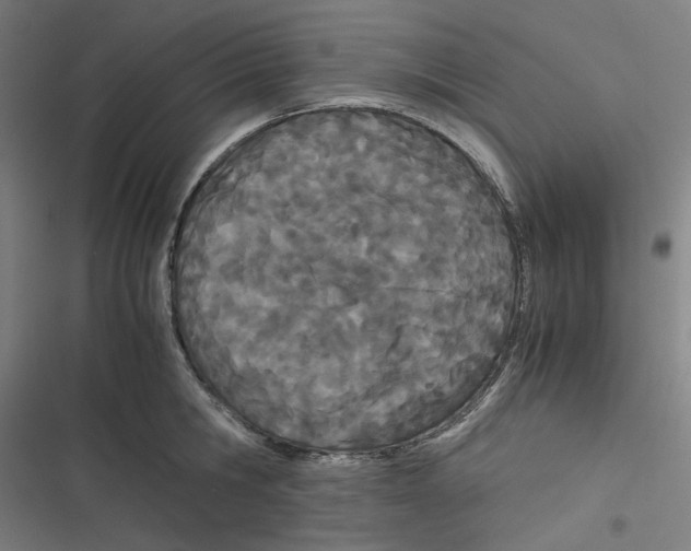 X0000116600806201001081148