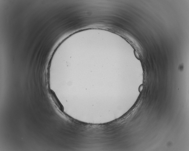 X0000116600808201001081148