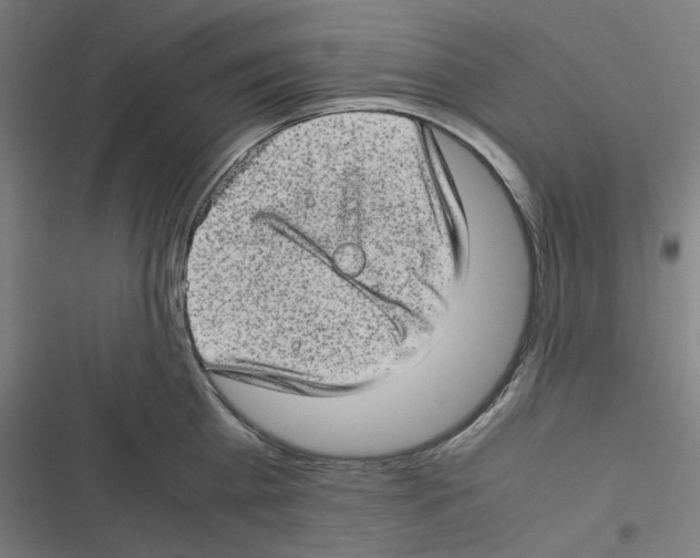 X0000116600809201001081148