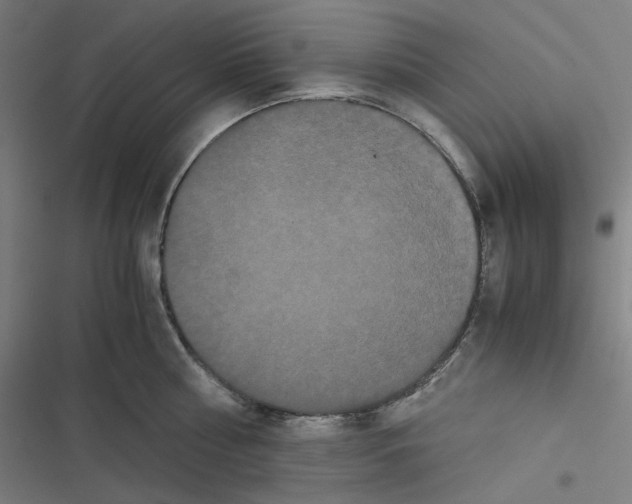 X0000116600810201001081148