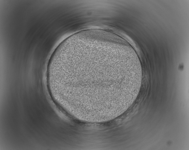 X0000116600811201001081148