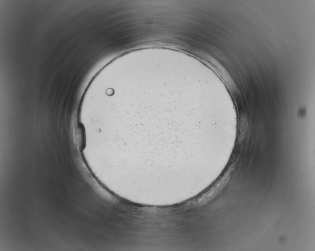 X0000116600812201001081148