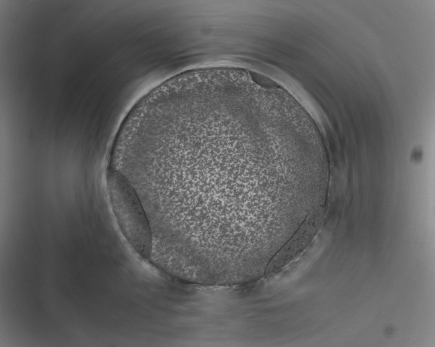 X0000116600813201001081148