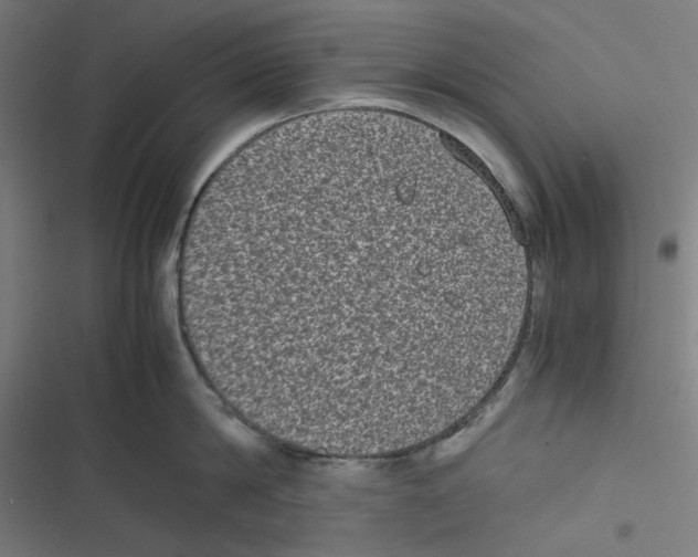 X0000116600814201001081148