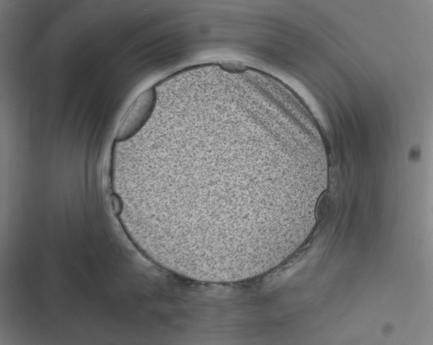 X0000116600815201001081148
